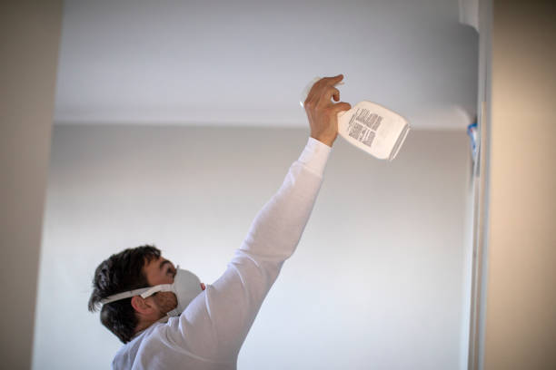 Best Black Mold Removal  in Pearl Beach, MI